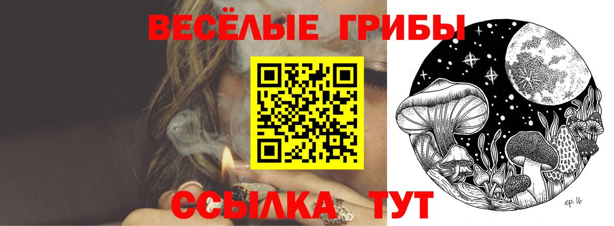 Галлюциногенные грибы Psilocybe  Галлюциногенные грибы Psilocybe  Городец  Вход с VPN 