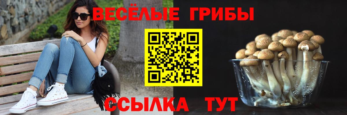 Псилоцибиновые грибы Magic Shrooms Городец